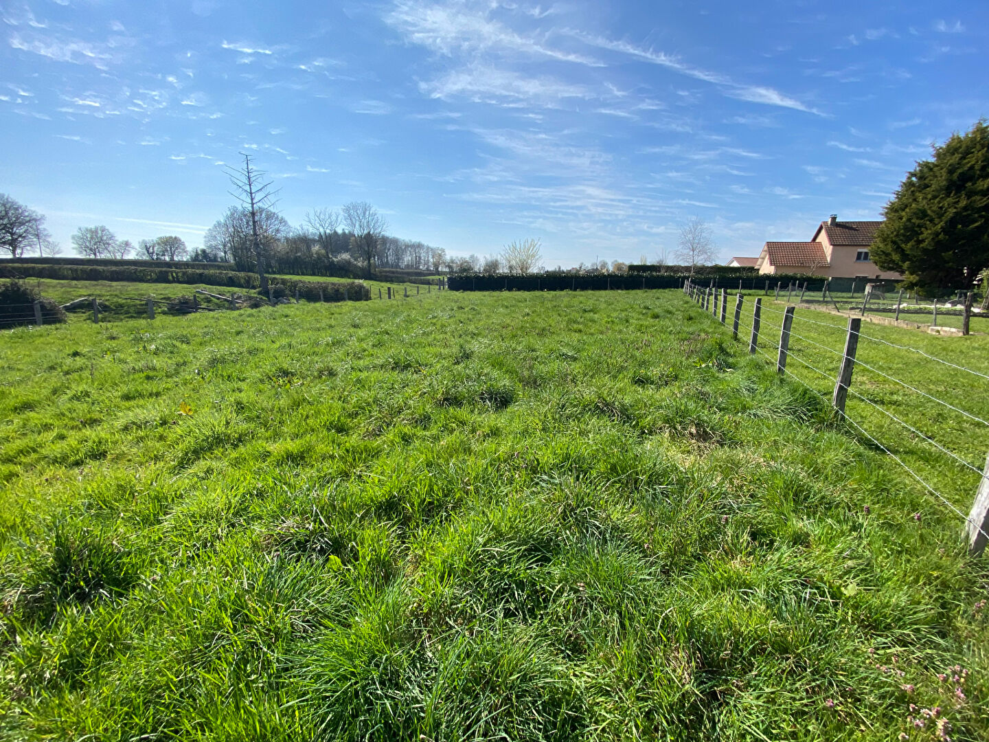 Terrain Saint Leger Les Paray 983 m2