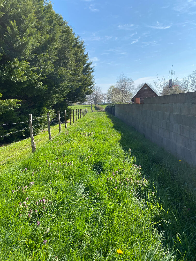 Terrain Saint Leger Les Paray 983 m2