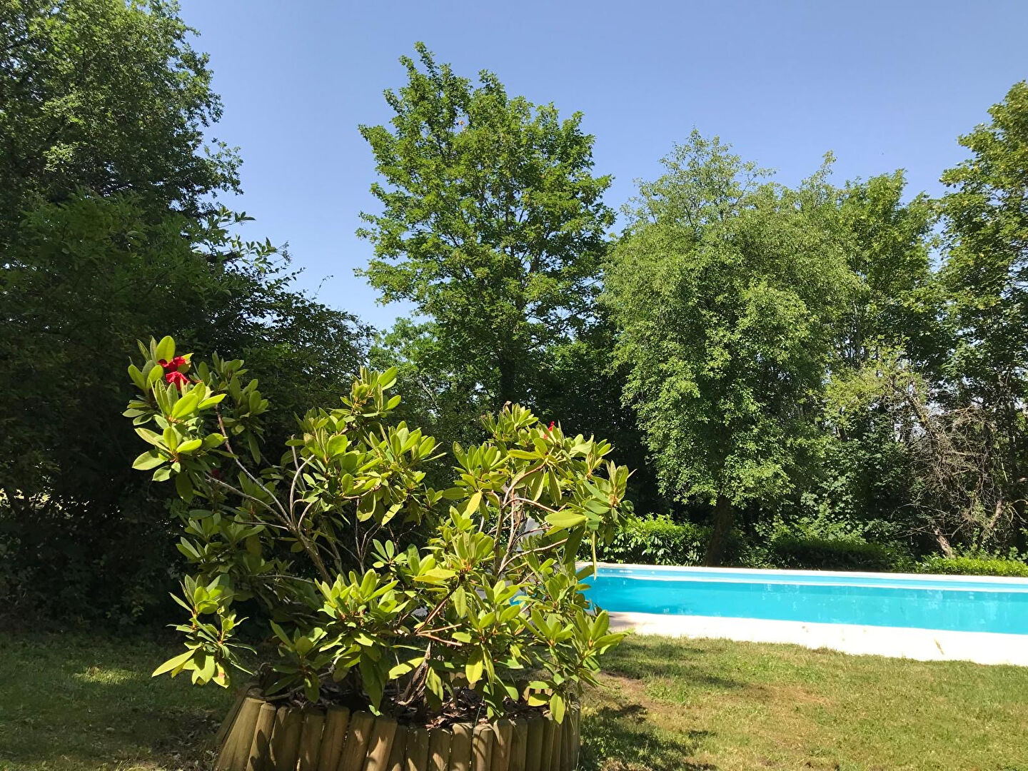 MONTCENIS - BELLE VILLA D'ARCHITECTE 
