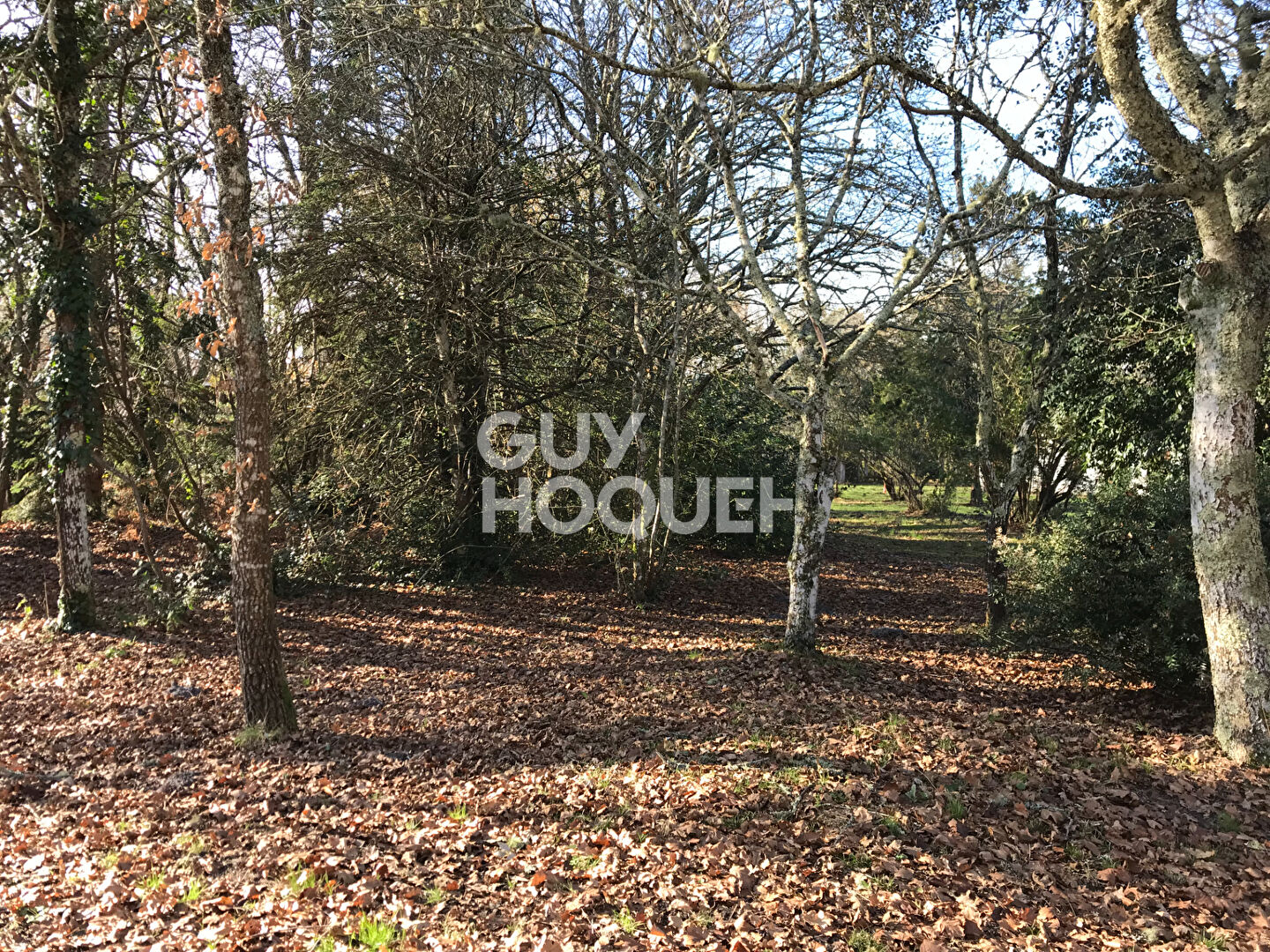 Terrain constructible