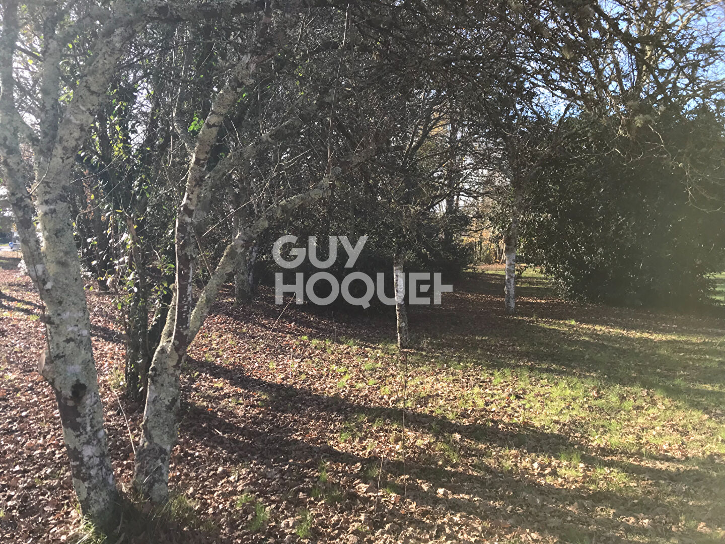 Terrain constructible