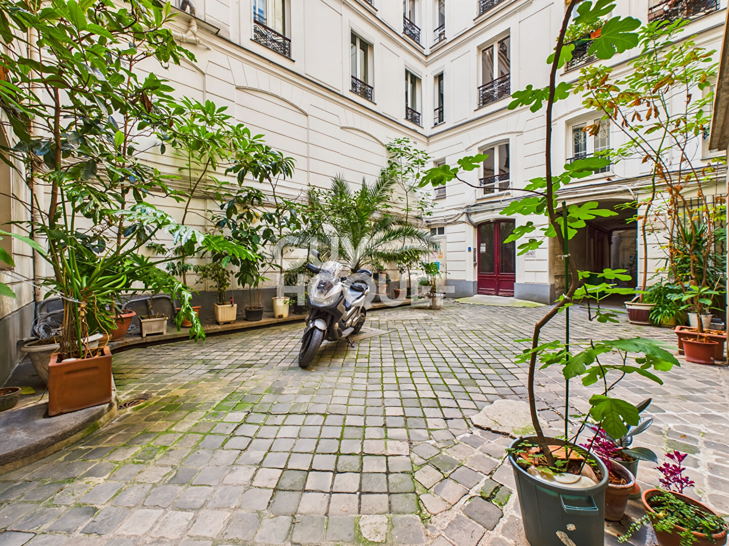 Duplex - République