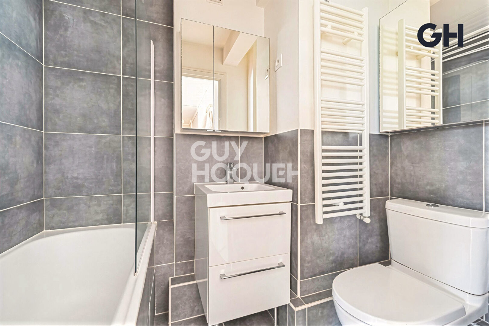 Traversant lumineux vue Canal - 49m² Pantin