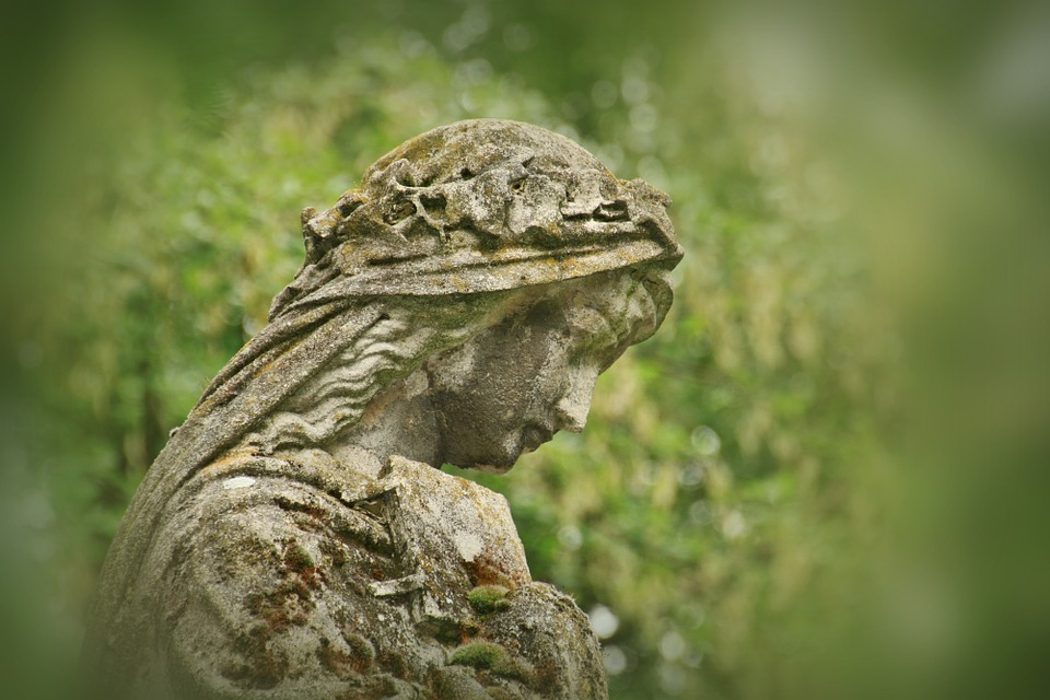 Exposition : le 14e côté jardin, du 17 au 29 juin, pour le 31e Salon APST