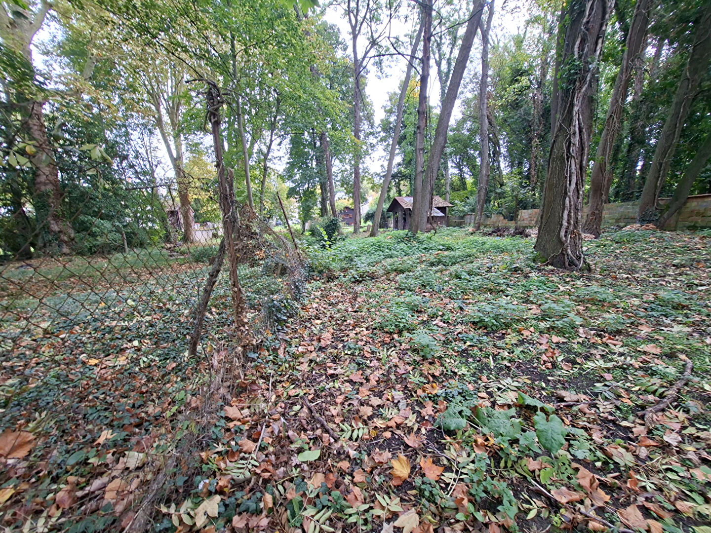 Terrain Yerres 1529 m2