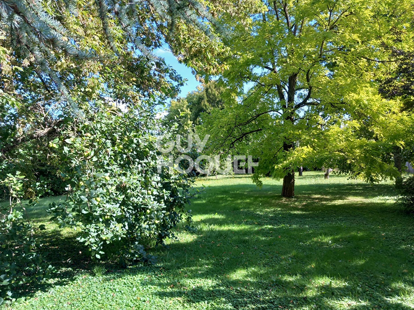 Maison -5 pièces 90 m2 et 1800 m2 de jardin - Pont-sur-Yonne (89)