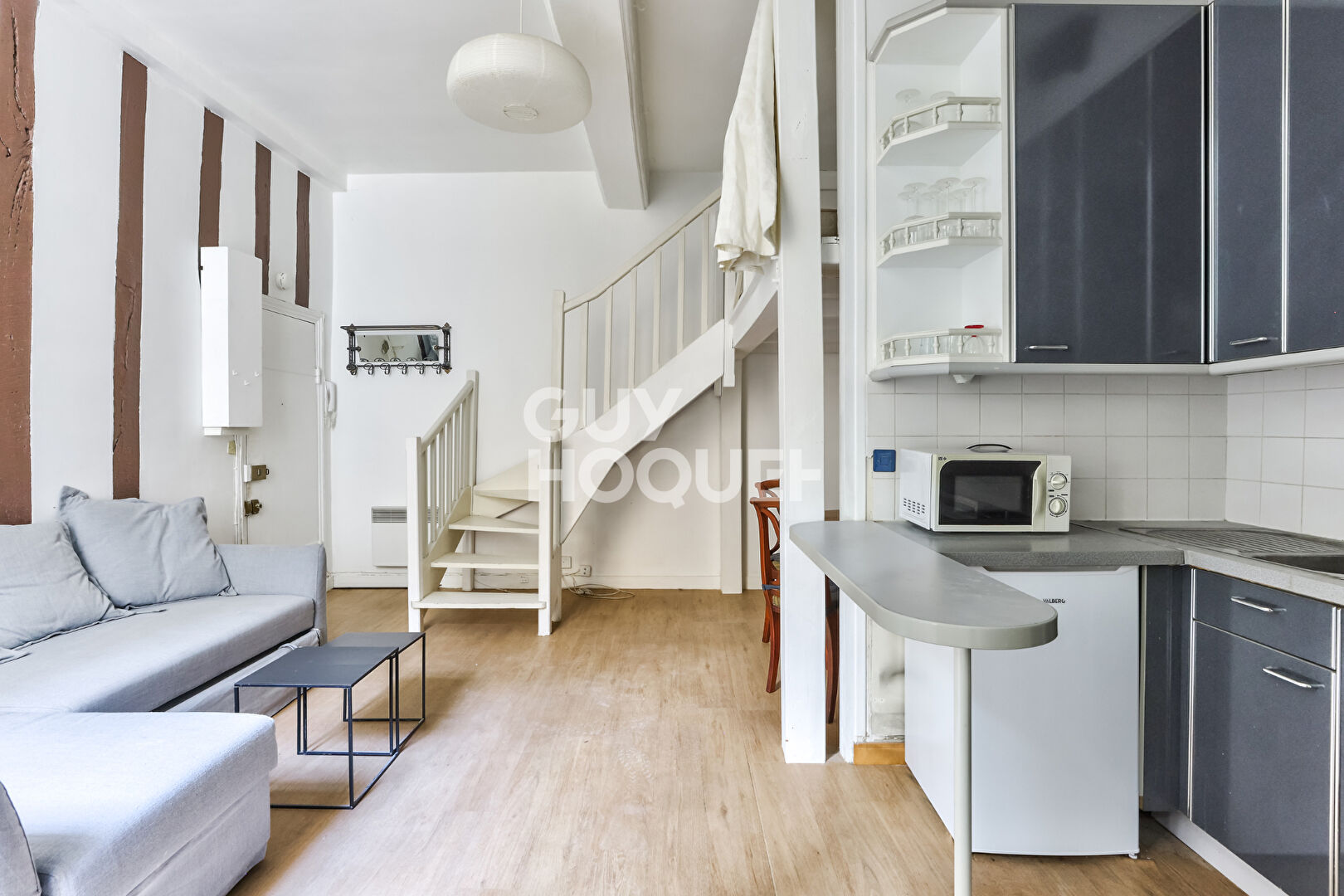 APPARTEMENT  DEUX PIECES DE 42 m2 - ILE ST.LOUIS