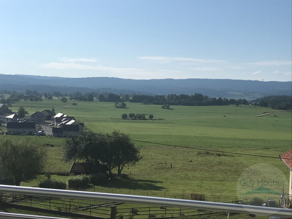 Appartement F3 à GILLEY - vue d'exception