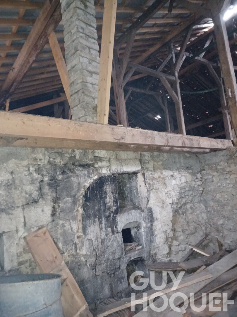 Ancien bâtiment agricole de 400 m2 ARSURE ARSURETTE