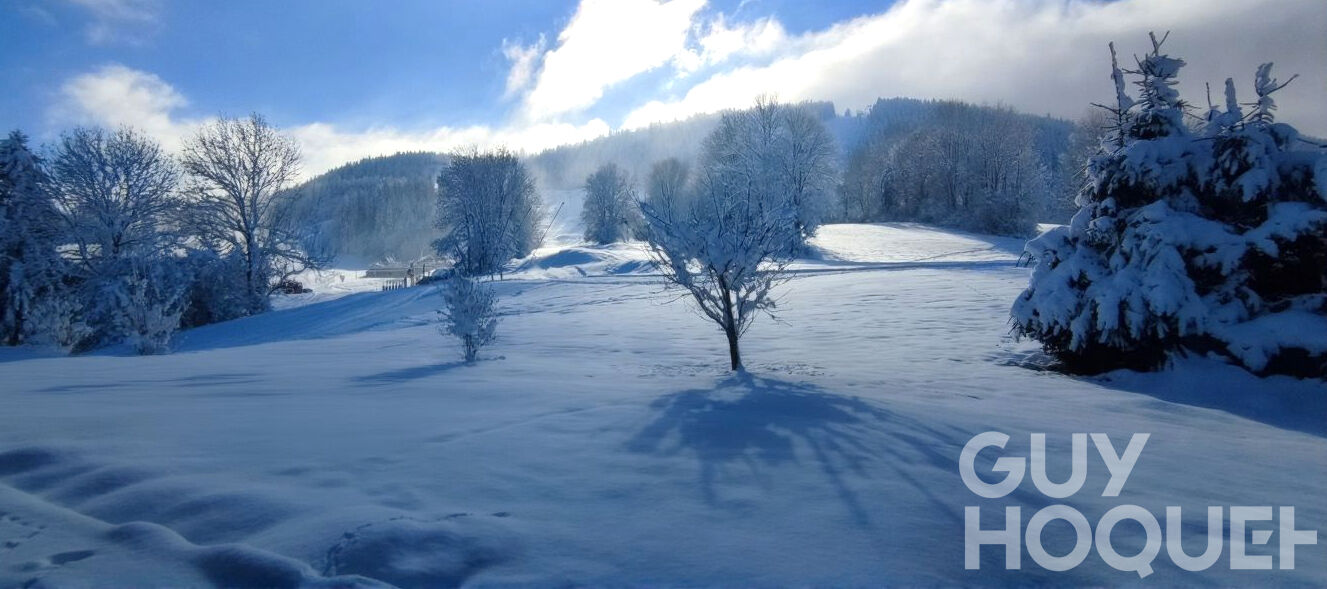 Unique à Métabief  - T6 au pied des pistes