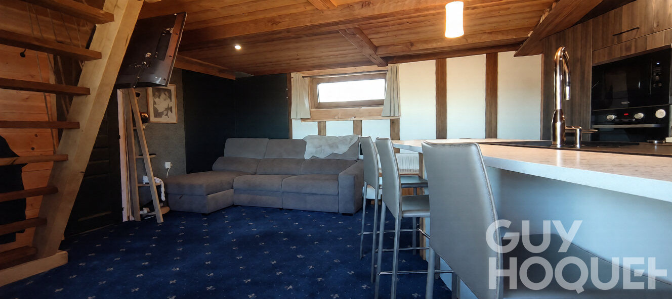 METABIEF Chalet "PAGOTIN"  2 chambres