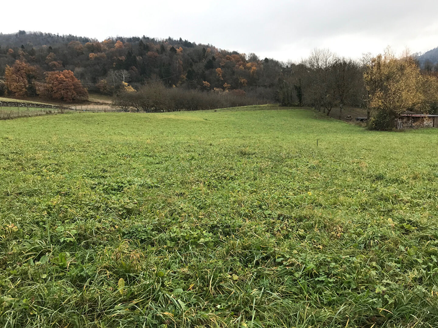 TRES BEAU TERRAIN constructible à La Chapelle Blanche