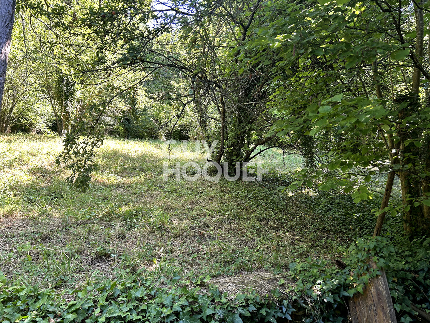 Maison spacieuse à vendre à Chalautre la Petite - maison familiale