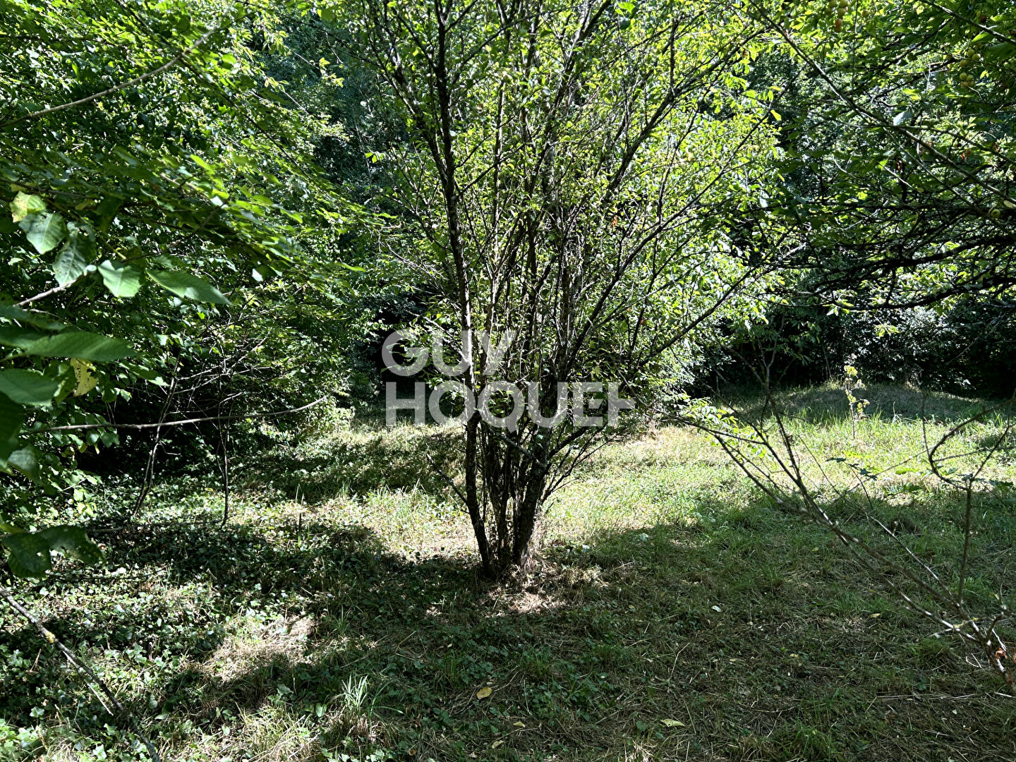 Maison spacieuse à vendre à Chalautre la Petite - maison familiale