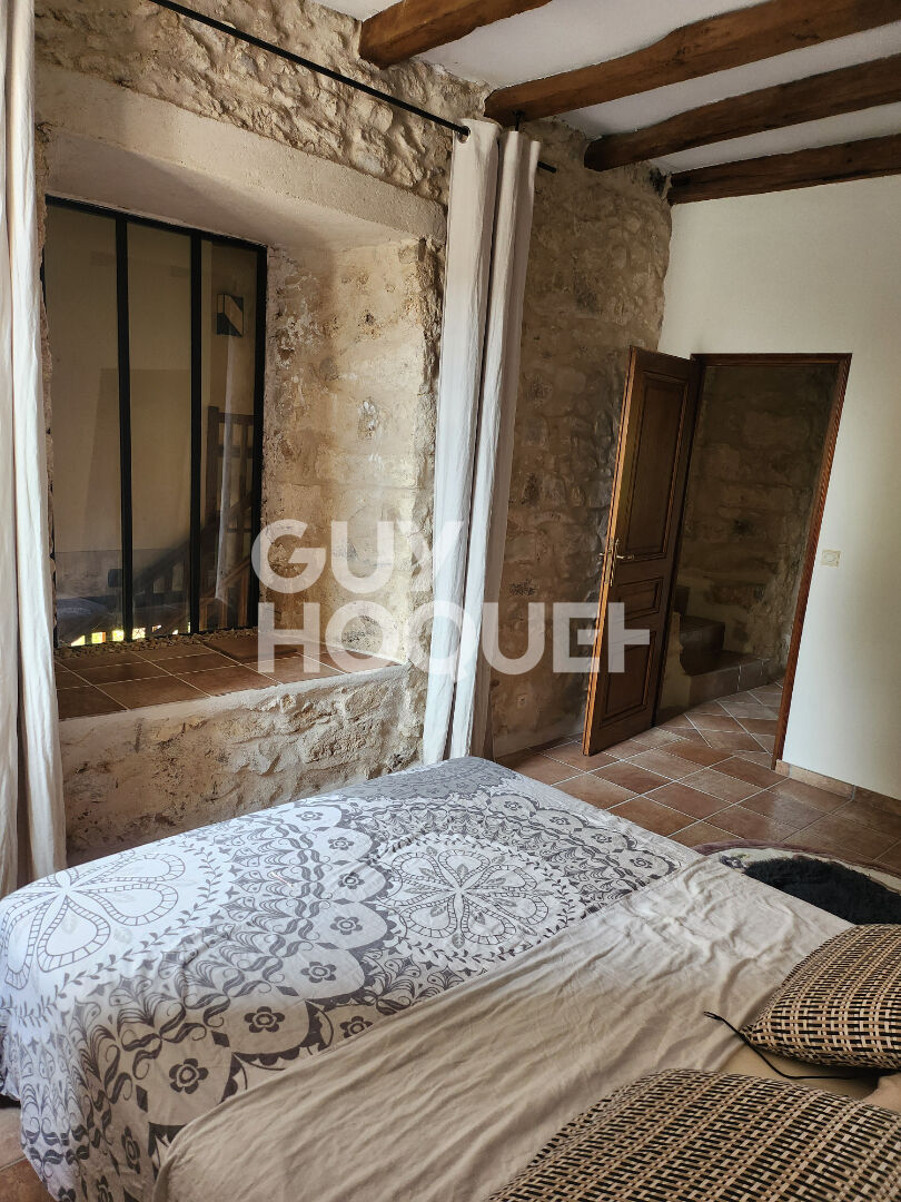 Magnifique maison  au Coeur d'un  village calme proche Provins