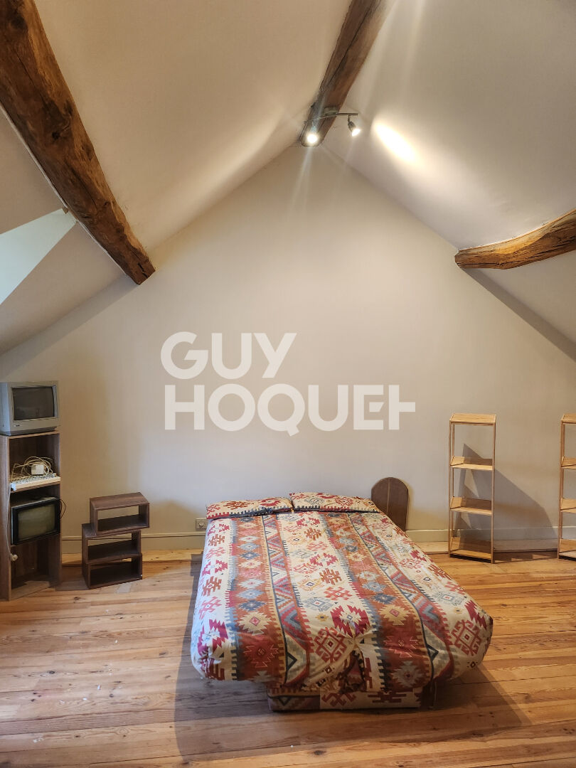 Maison de Charme à Chenoise Cucharmoy - Un Bijou à Saisir !