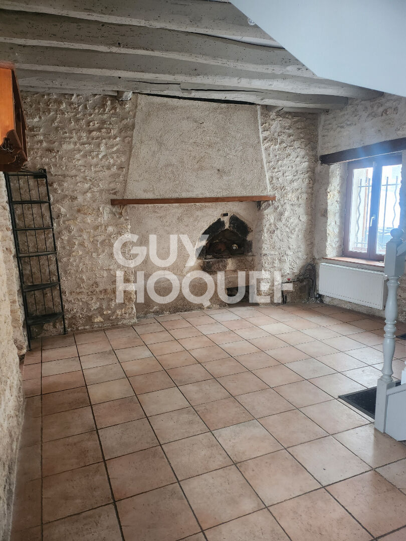 Maison de Charme à Chenoise Cucharmoy - Un Bijou à Saisir !