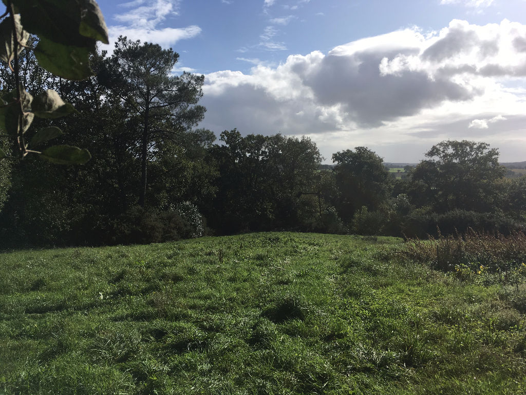 Terrain Limerzel 3043 m2