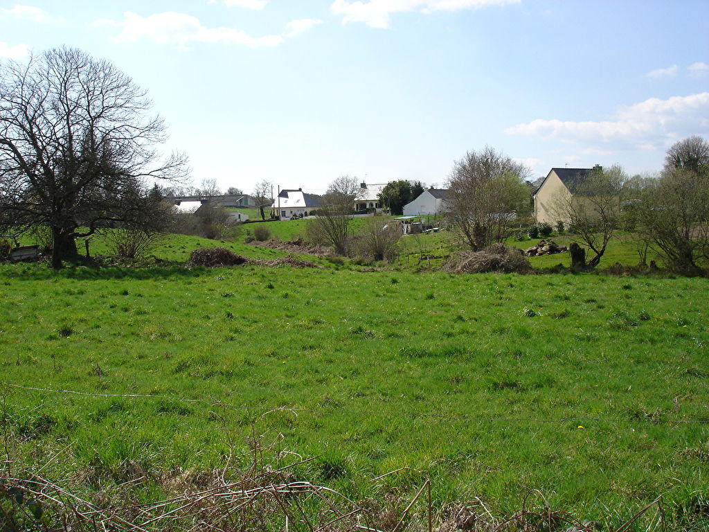 Grand Terrain constructble à vendre à Limerzel - 2750 m²