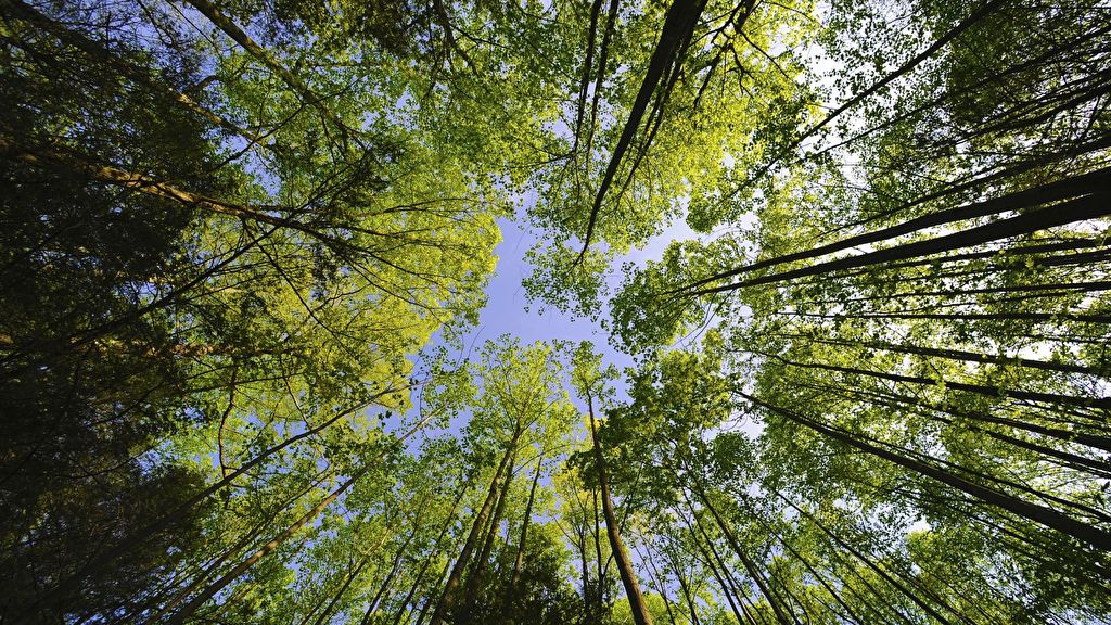 Terrain à vendre à Questembert