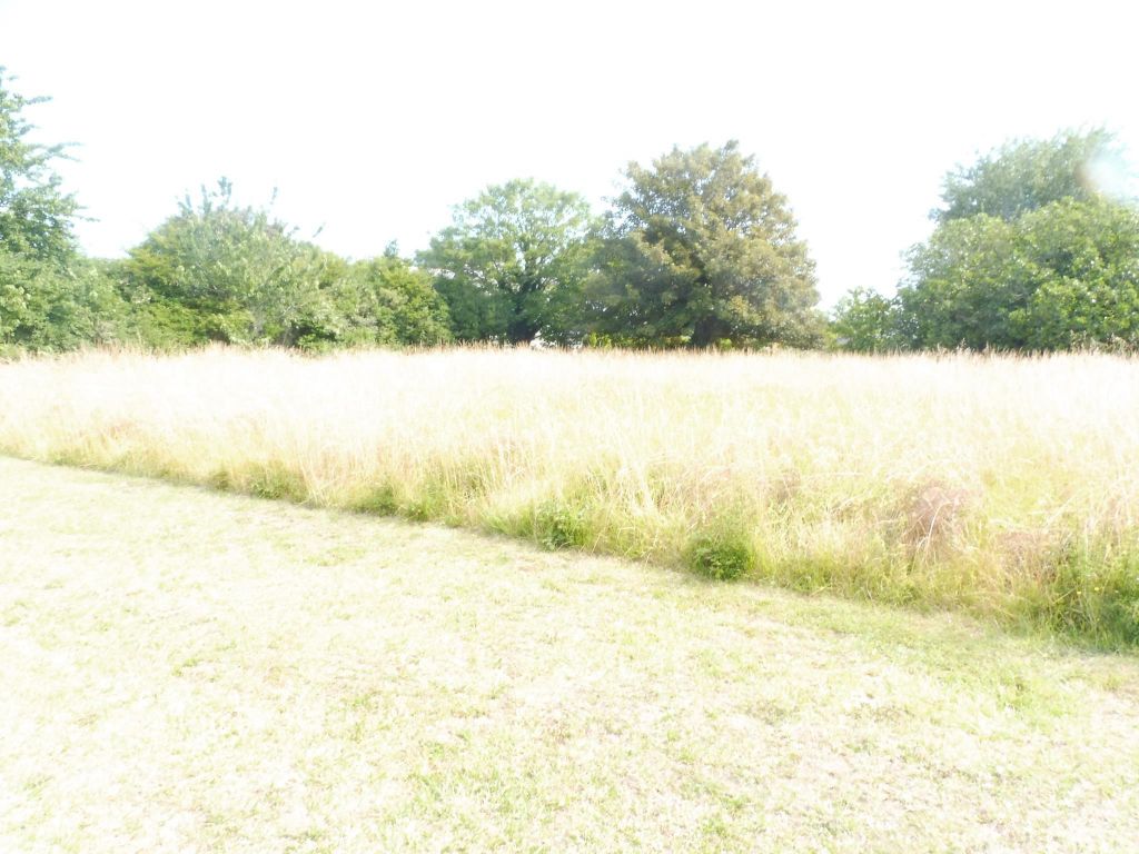 Terrain - 1085 m2 - LOCTUDY
