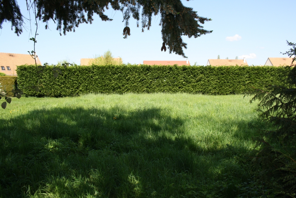 Terrain Les Breviaires 900 m2