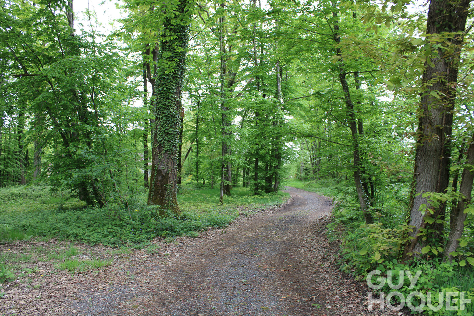 2 Maisons et 2 garages sur 3.5 hectares