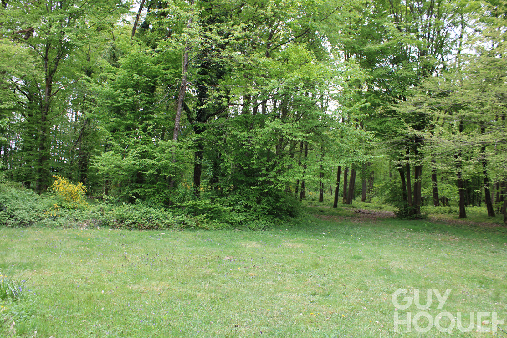 2 Maisons et 2 garages sur 3.5 hectares