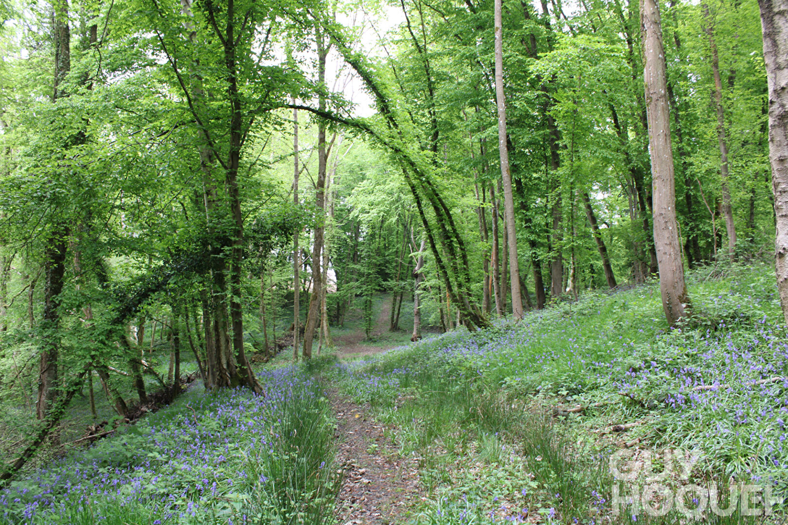 2 Maisons et 2 garages sur 3.5 hectares