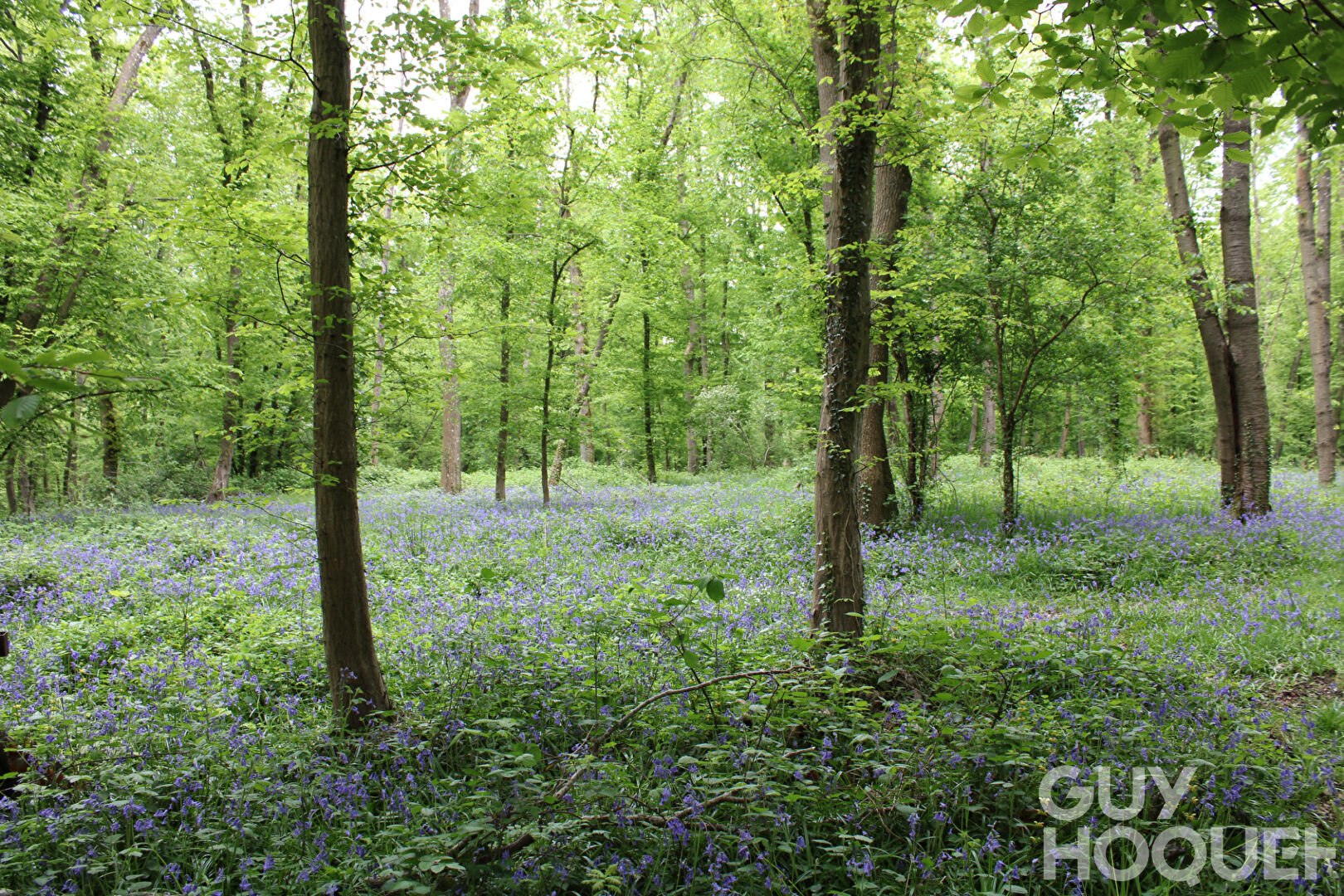 2 Maisons et 2 garages sur 3.5 hectares