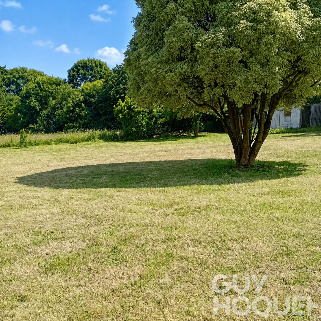 Maison familiale 3 chambres avec sous-sol total - terrain de 1 851 m²