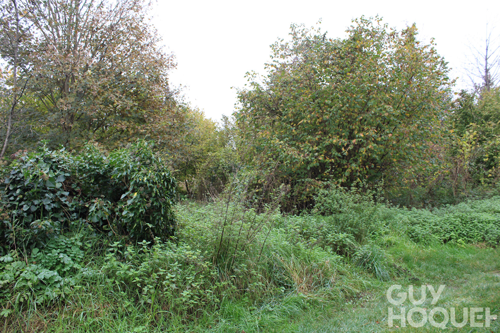 Terrain à bâtir 818 m²