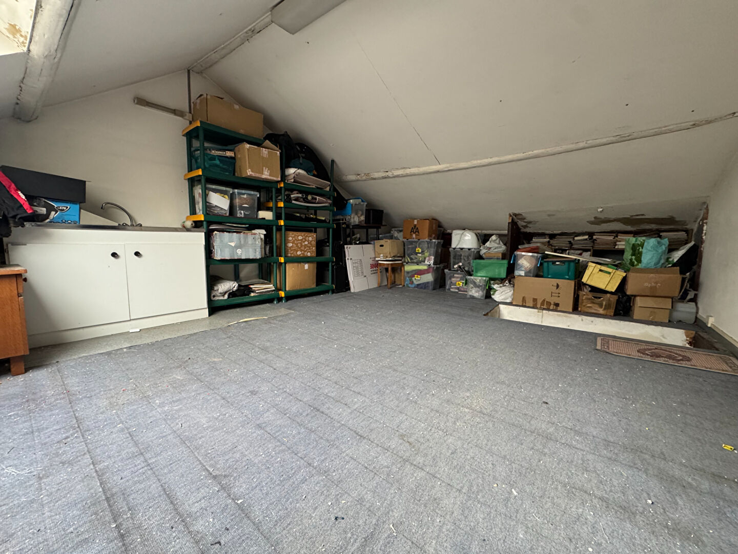 Maison, jardin, 3 garages et 1 dépendance - Bétheny