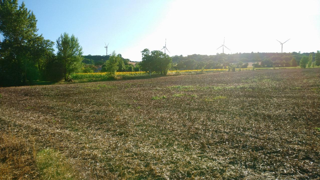Terrain à bâtir ROUMENS