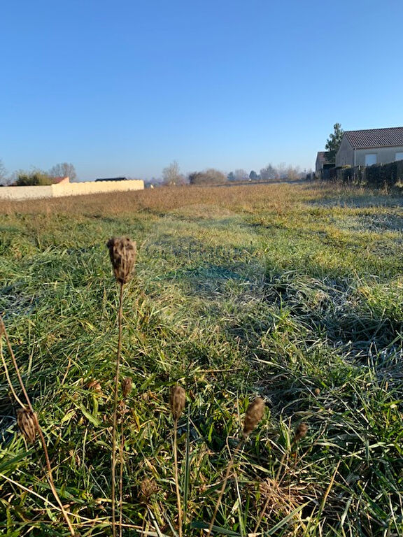 Terrain Revel  800 m2