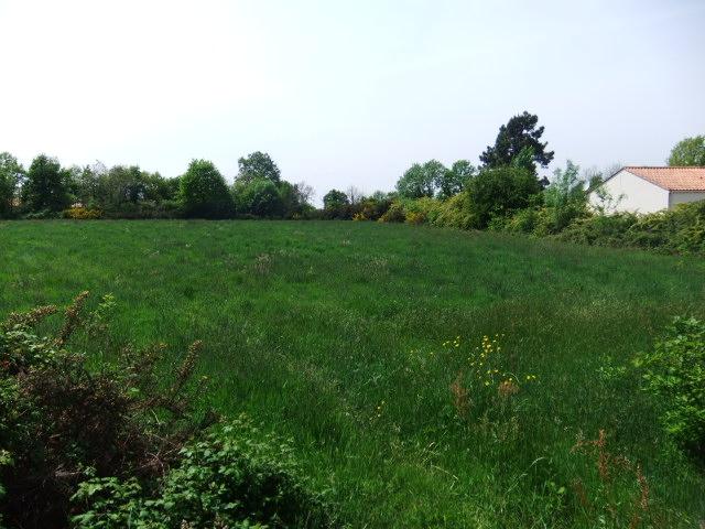 BEAU TERRAIN DE 6000 M² CONSTRUCTIBLE
