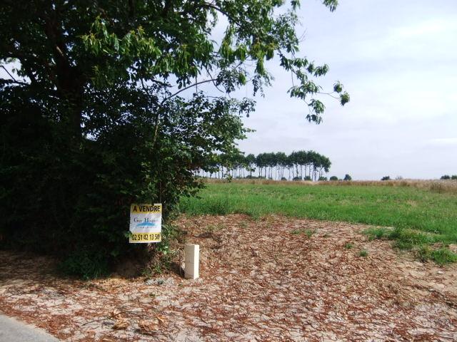 Terrain viabilisé, A 10 min d'AIZENAY