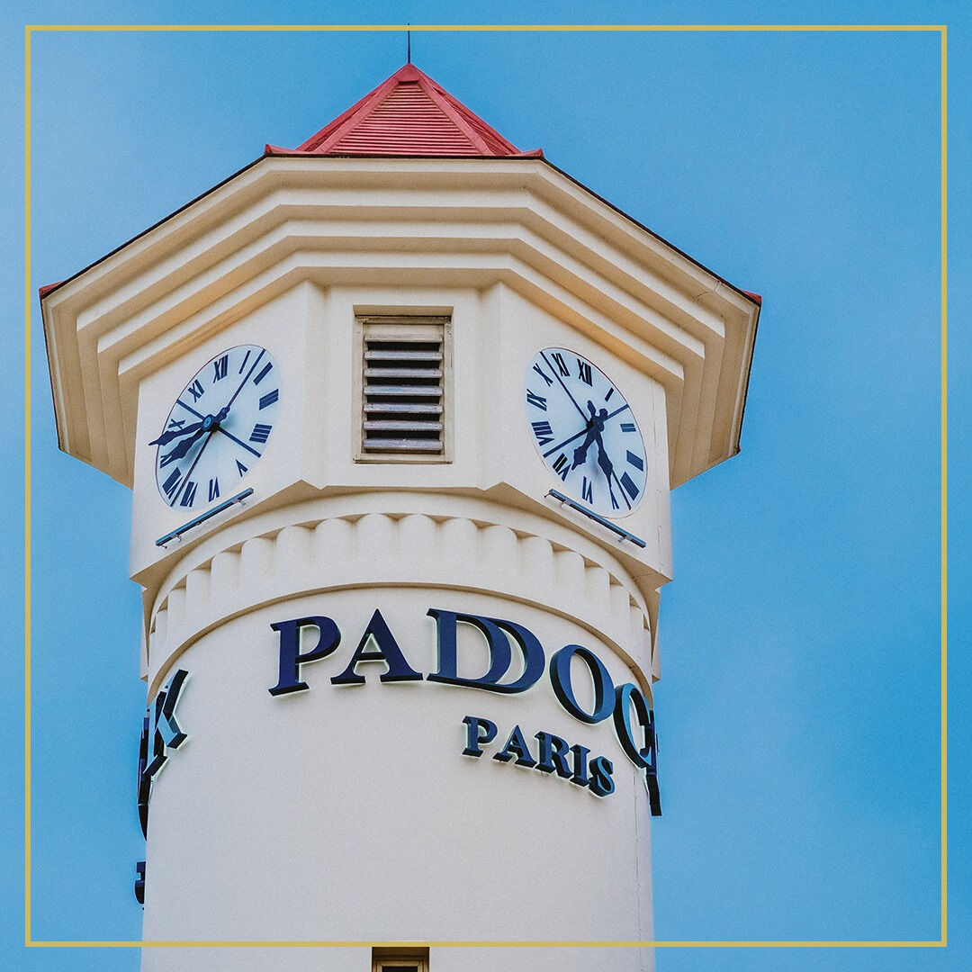 LOCAUX COMMERCIAUX AU COEUR DU CENTRE COMMERCIAL "PADDOCK" (ROMAINVILLE)