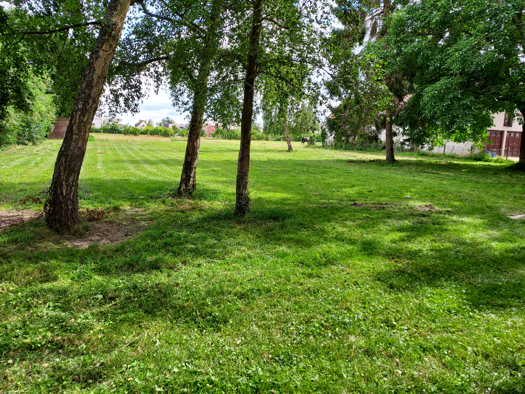 Terrain  constructible - Les Essarts