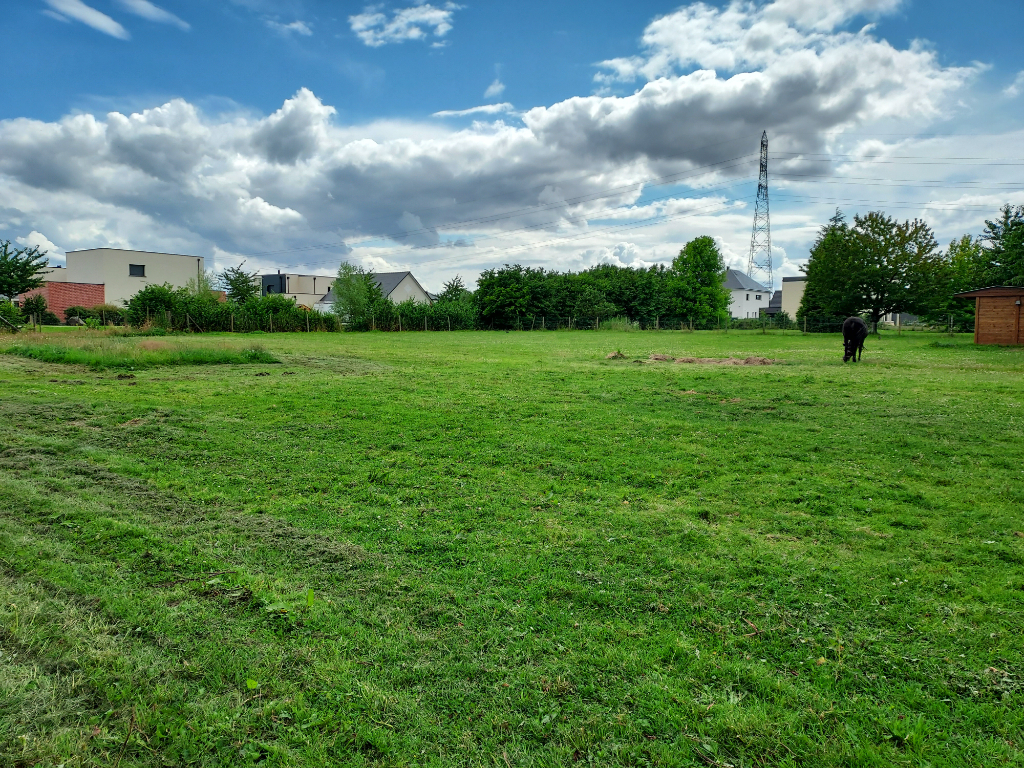 Terrain de 894m2  Les Essarts