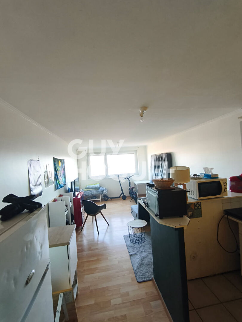 Studio Rouen Jardin des Plantes