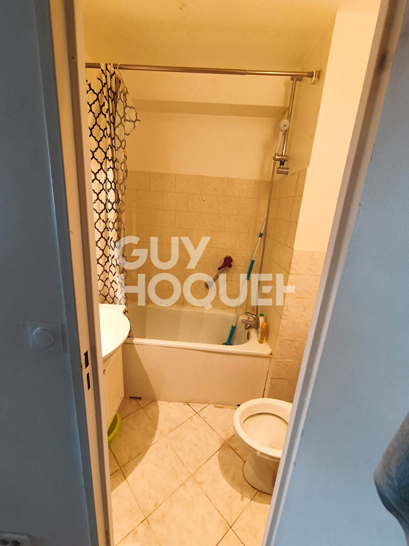 Studio Rouen Jardin des Plantes