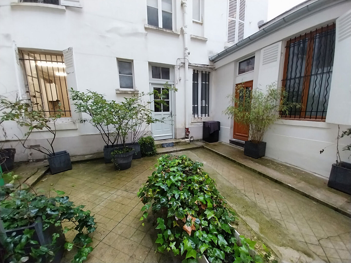 MURS LIBRES - Rue Salneuve