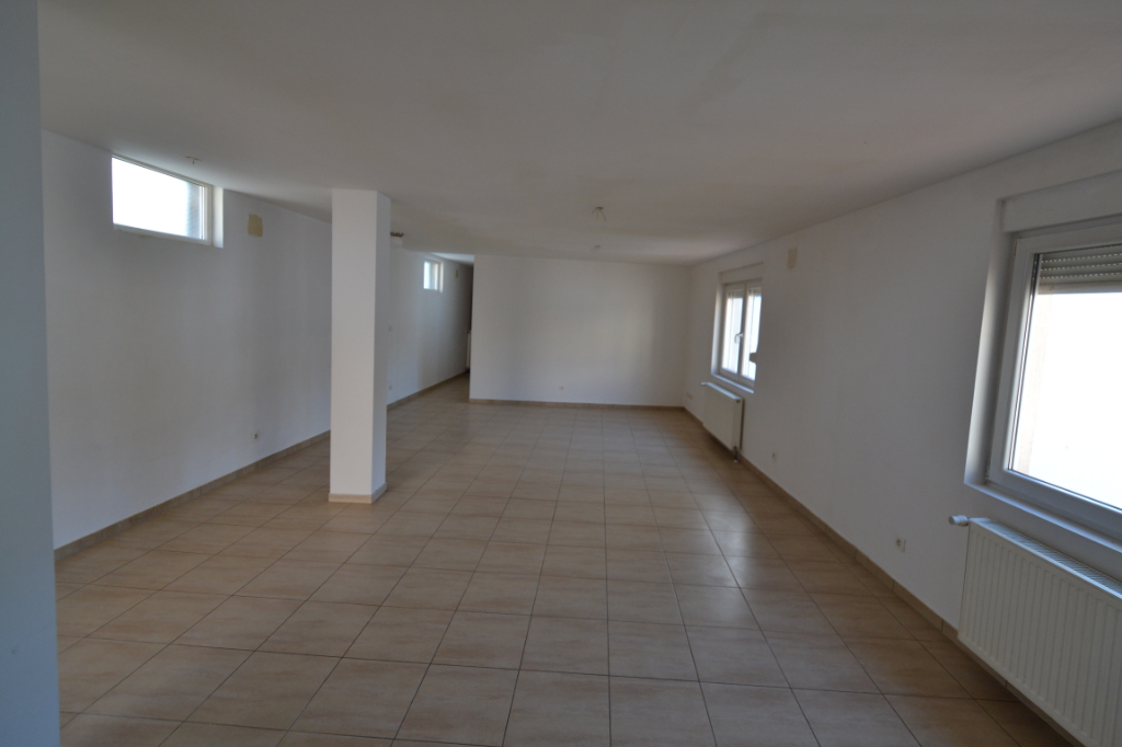 Appartement Freyming Merlebach 3 pièces avec terrasse et garage