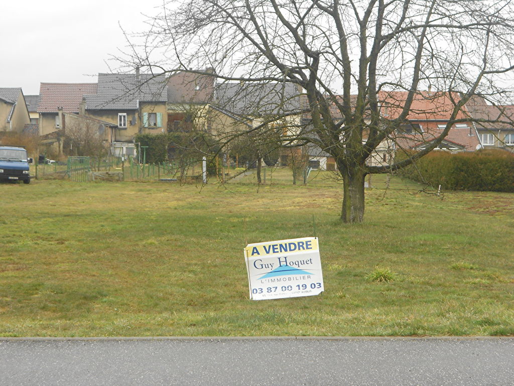 CARLING, 10 min de Saint-Avold