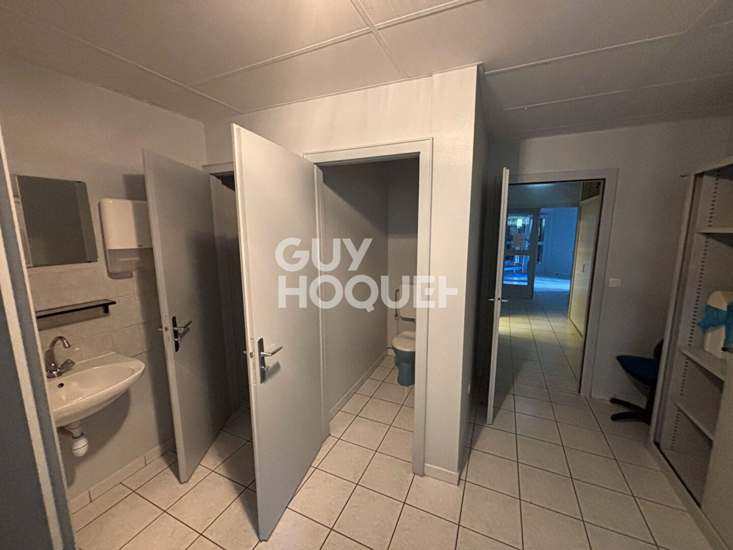 Local commercial Saint Avold 388 m2