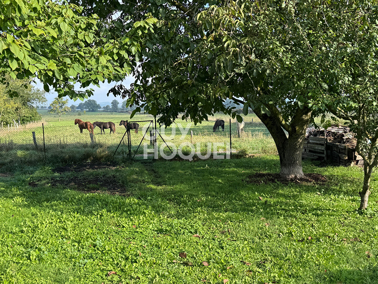 Appartement Bistroff 4 pièce(s) 84 m2