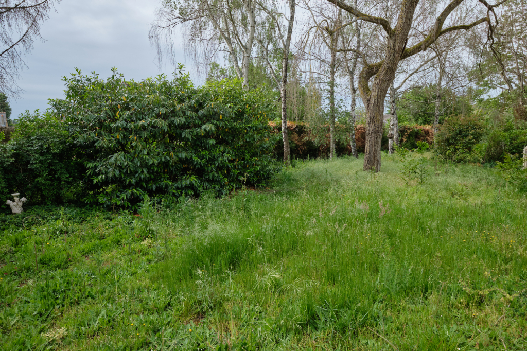 Terrain Montlouis Sur Loire