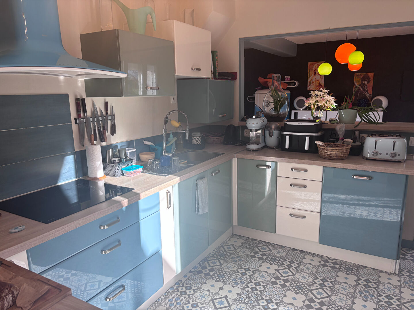 Maison Ballan Miré lac des Bretonnières