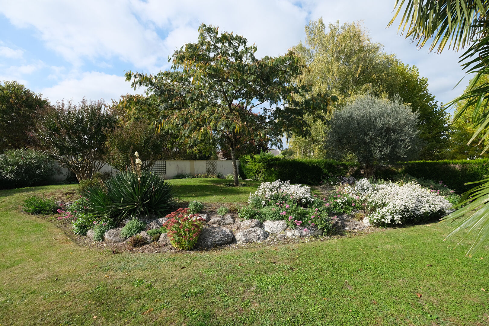 Maison Savonnieres 7 pièce(s) 234 m2